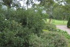 Ellerslie NSWresidential-landscaping-35.jpg; ?>