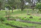 Ellerslie NSWresidential-landscaping-39.jpg; ?>