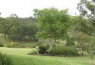 Ellerslie NSWresidential-landscaping-40.jpg; ?>
